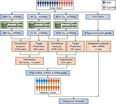 Integrated Analysis of Expression Profile and Potential Pathogenic Mechanism of Temporal Lobe Epilepsy With Hippocampal Sclerosis